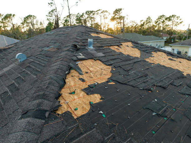 Professional Roofing Services in Mendenhall, MS